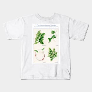 Garden Vegetable watercolor illustration (1915) Kids T-Shirt